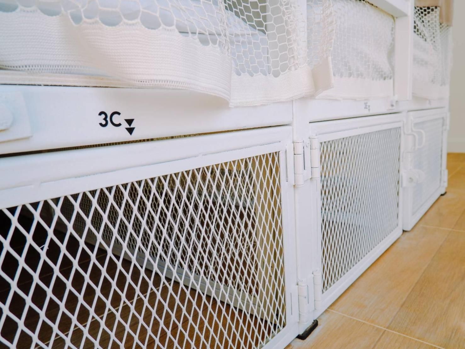 Bunk Bed in Mixed Dormitory Room