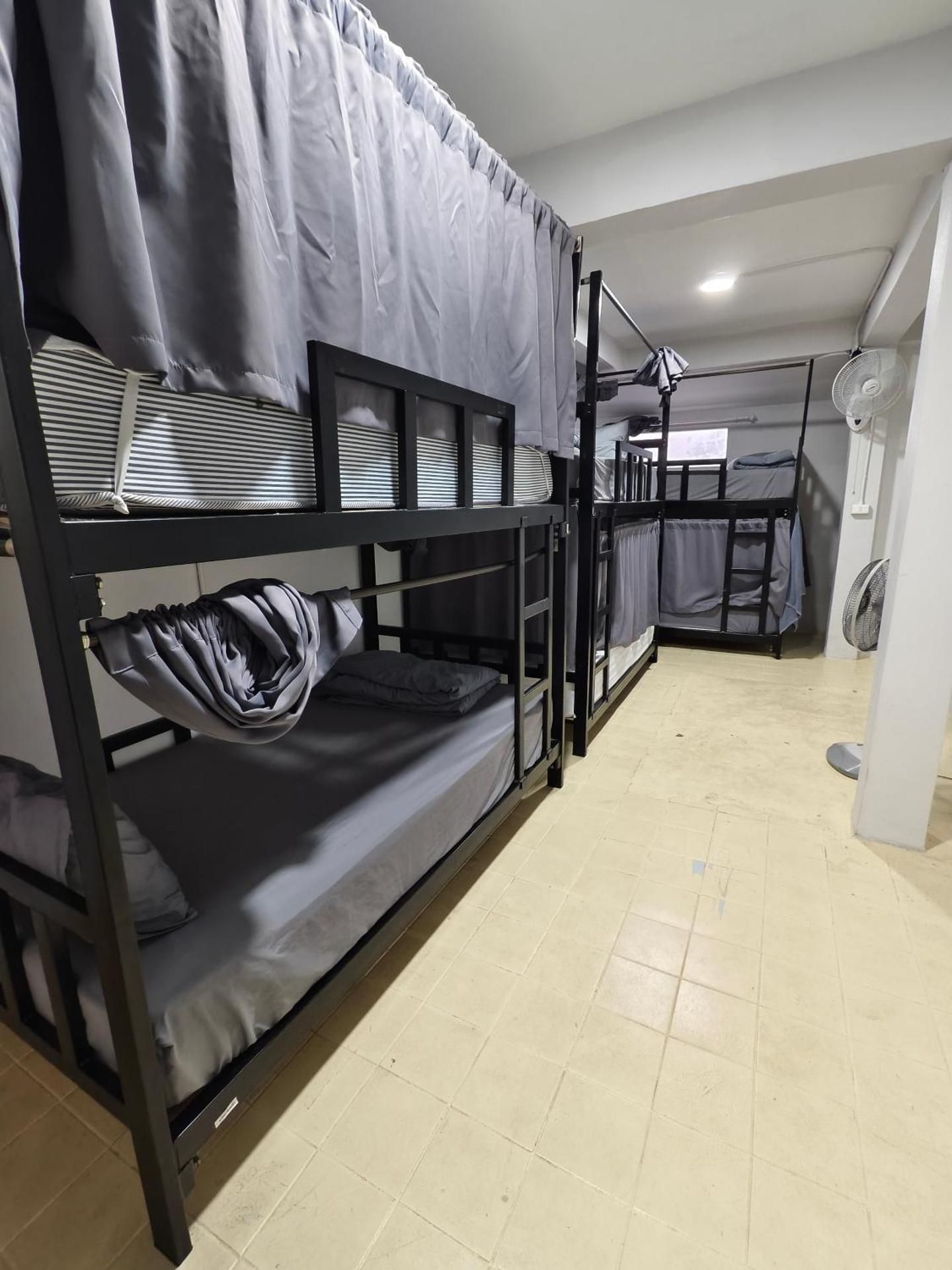 Bunk Bed in Mixed Dormitory Room