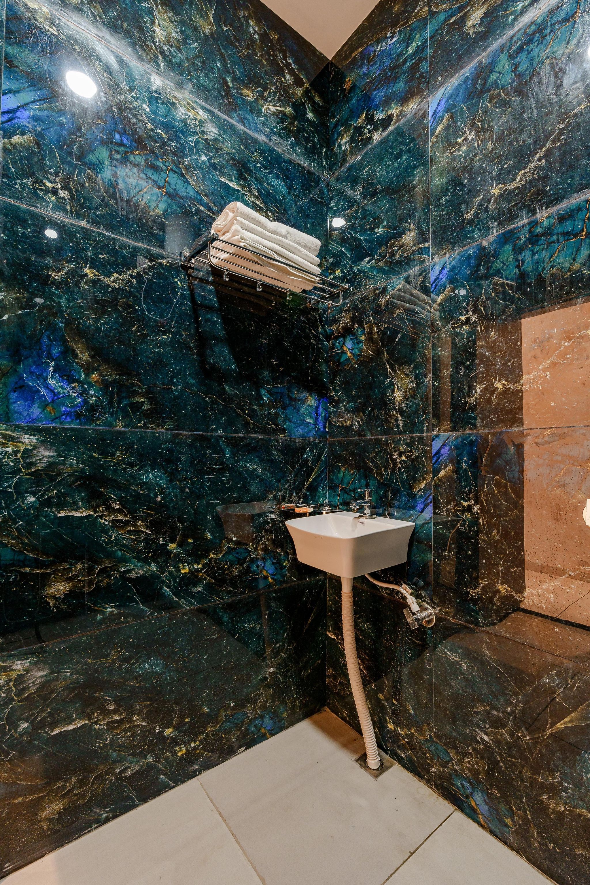 Hotel Shiv Villas Palace Executive AC Room 6