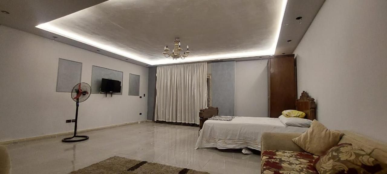 Standard Suite