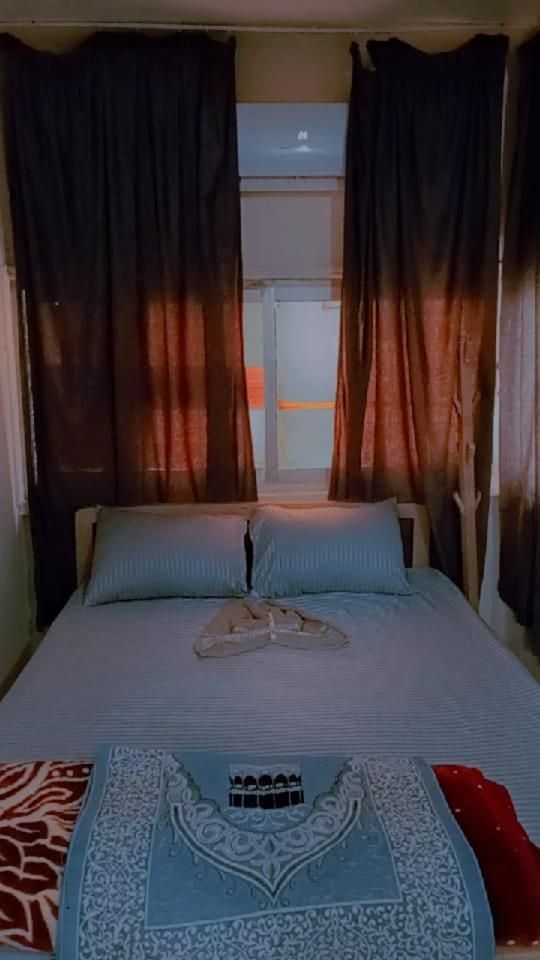 فندق التمساح