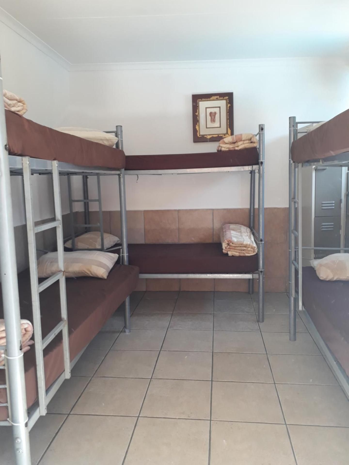 Bed in 6-Bed Dormitory Room