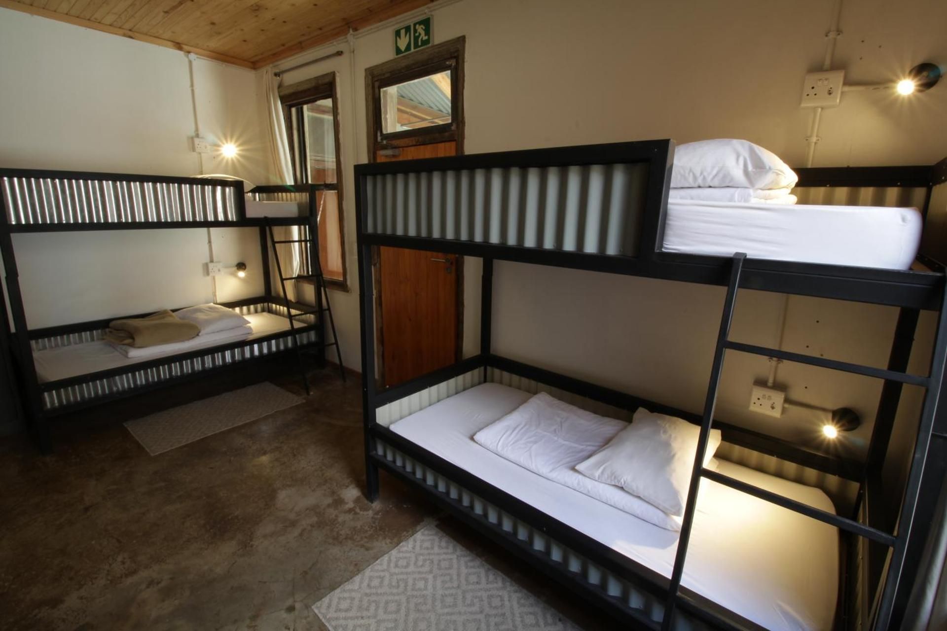 Bed in 6-Bed Mixed Dormitory Room