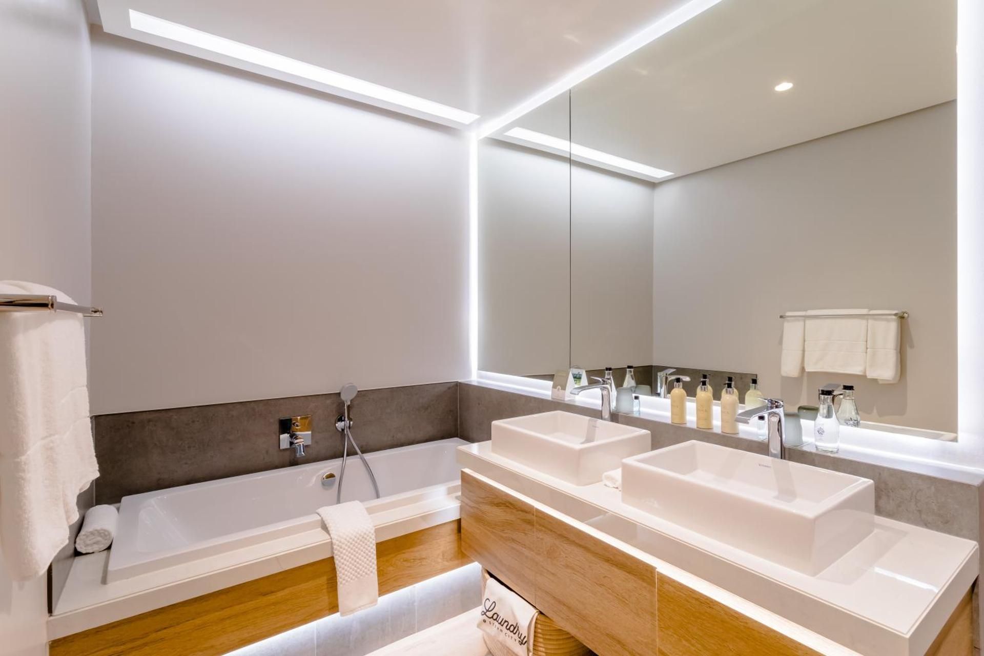 Deluxe One-Bedroom Apartment