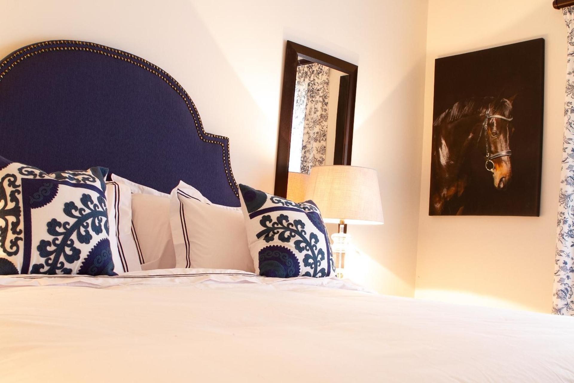 Deluxe King Suite