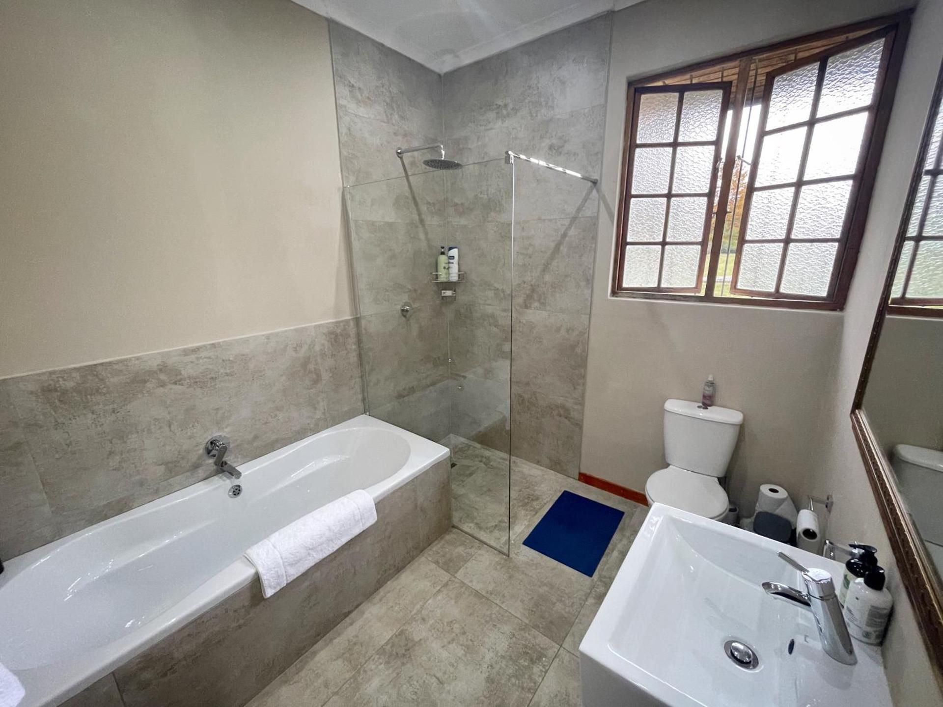 Basic King Room