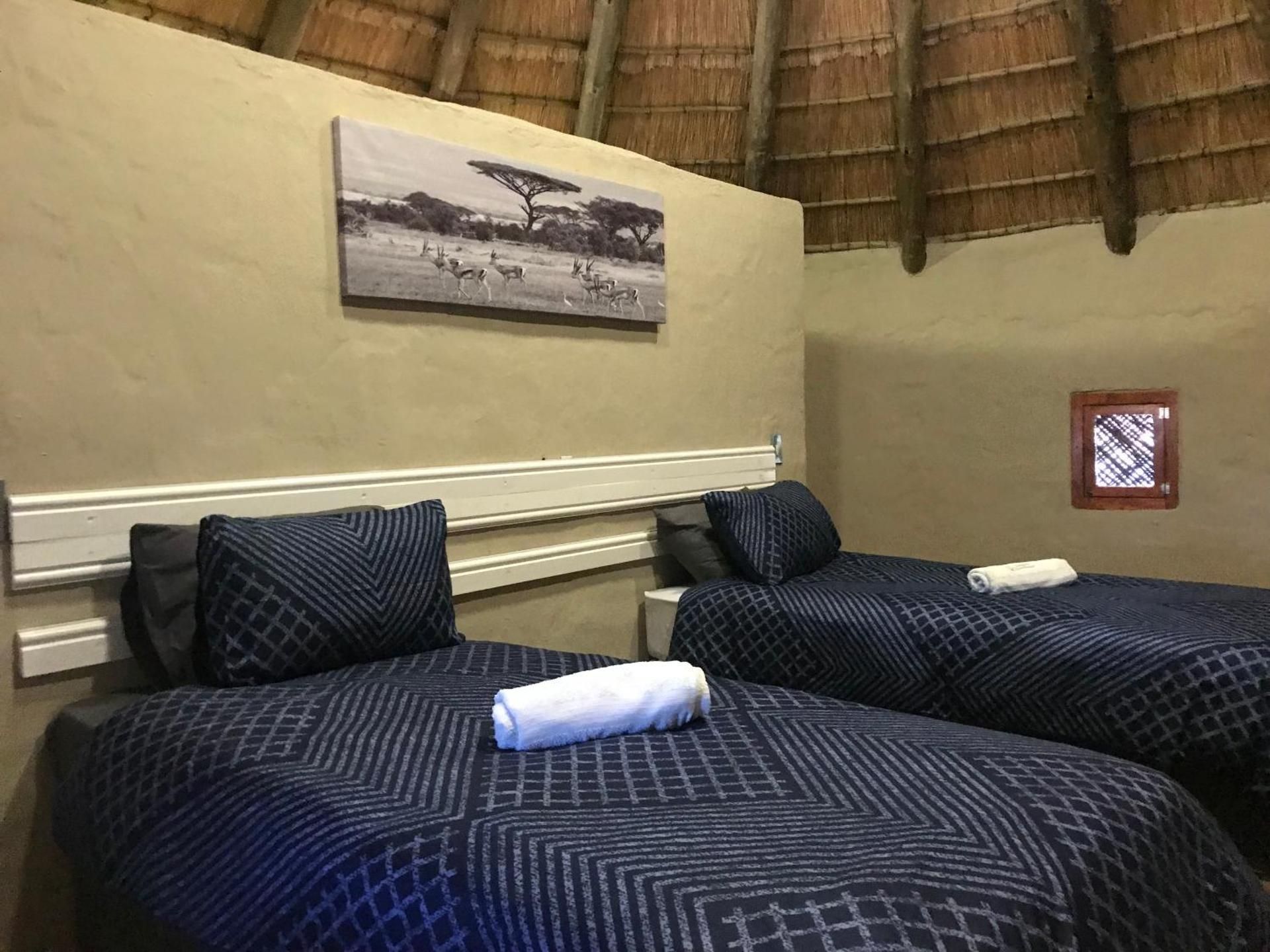 Economy Tent
