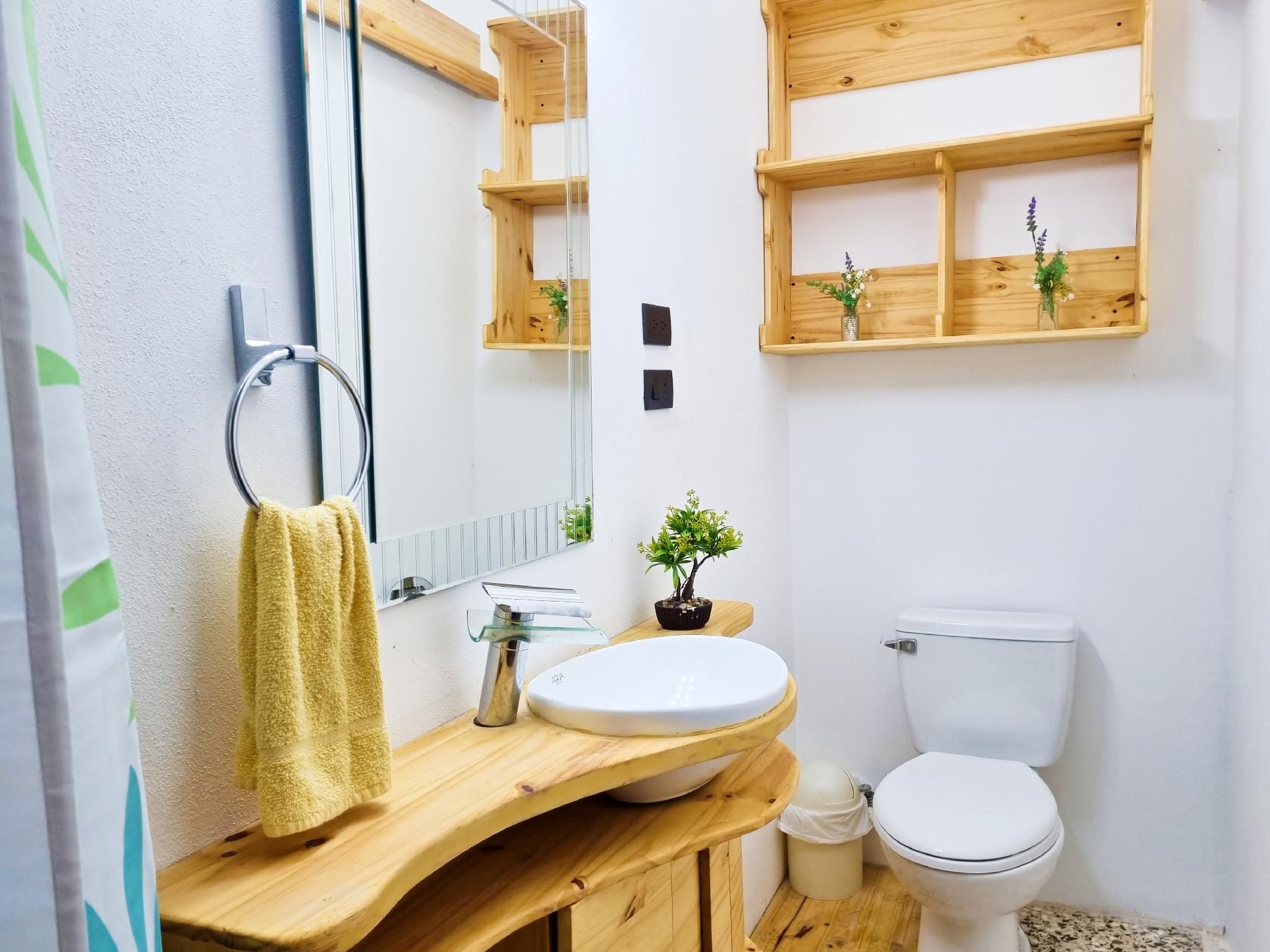 Studio - Pet-Friendly