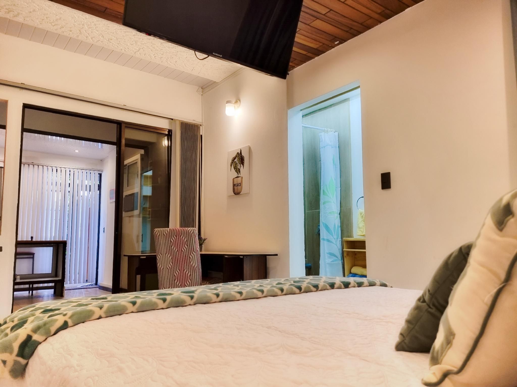 Studio - Pet-Friendly