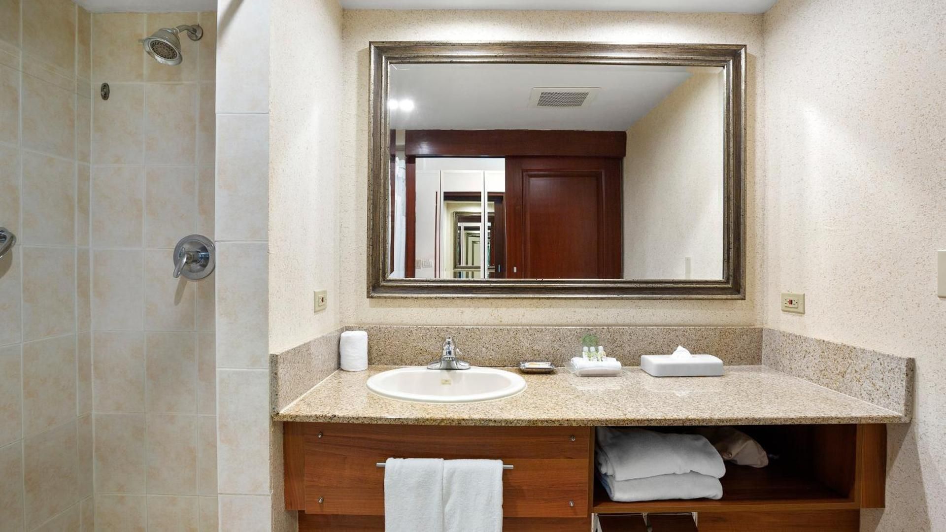 Standard Room with Canal View