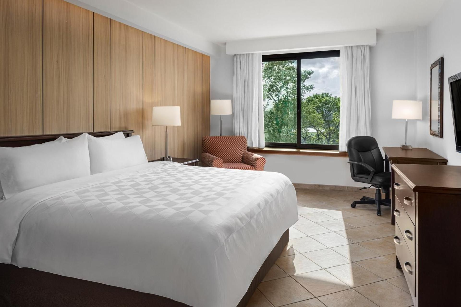 Premium King Room with Pool View