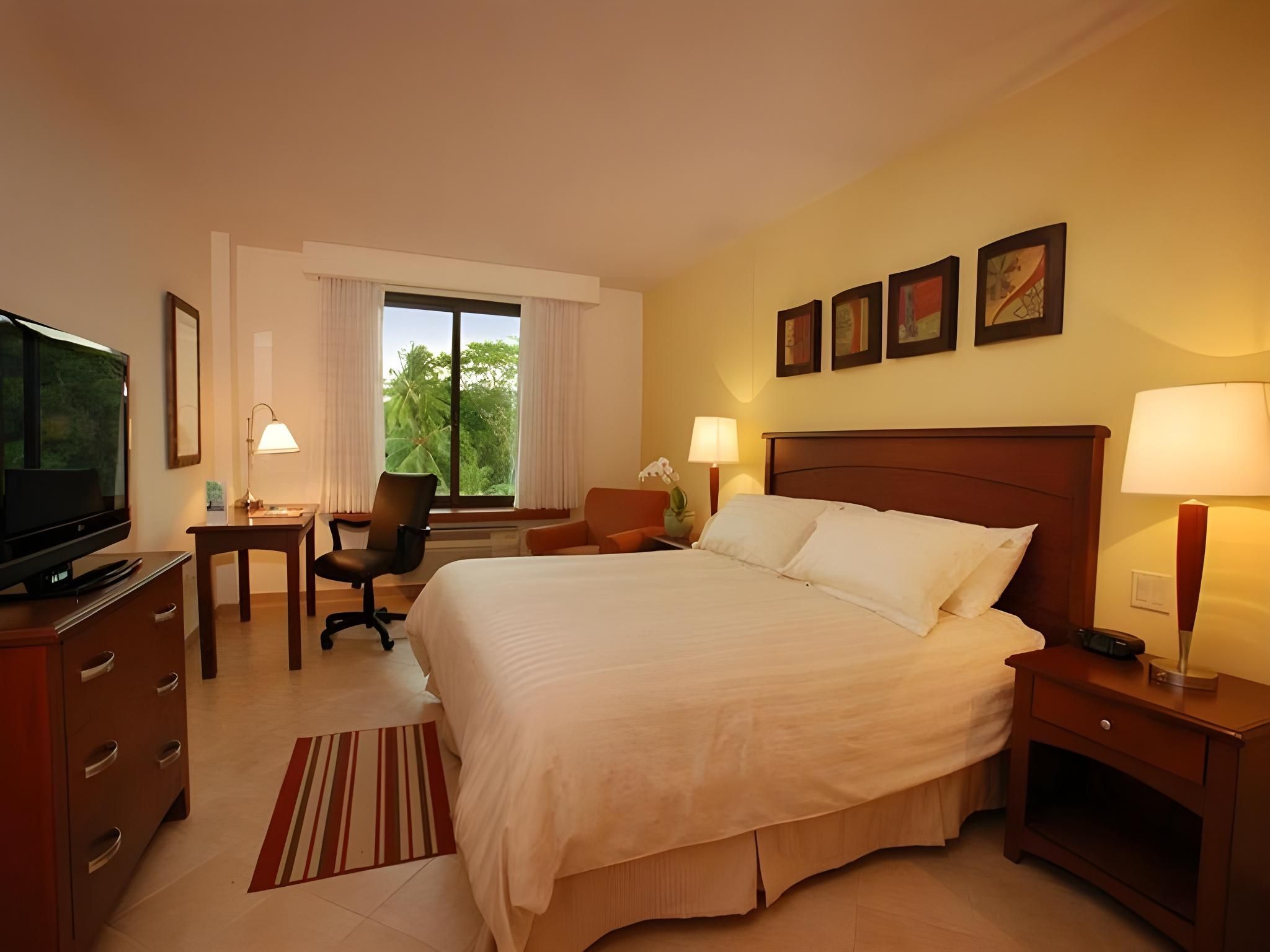 1 King Suite