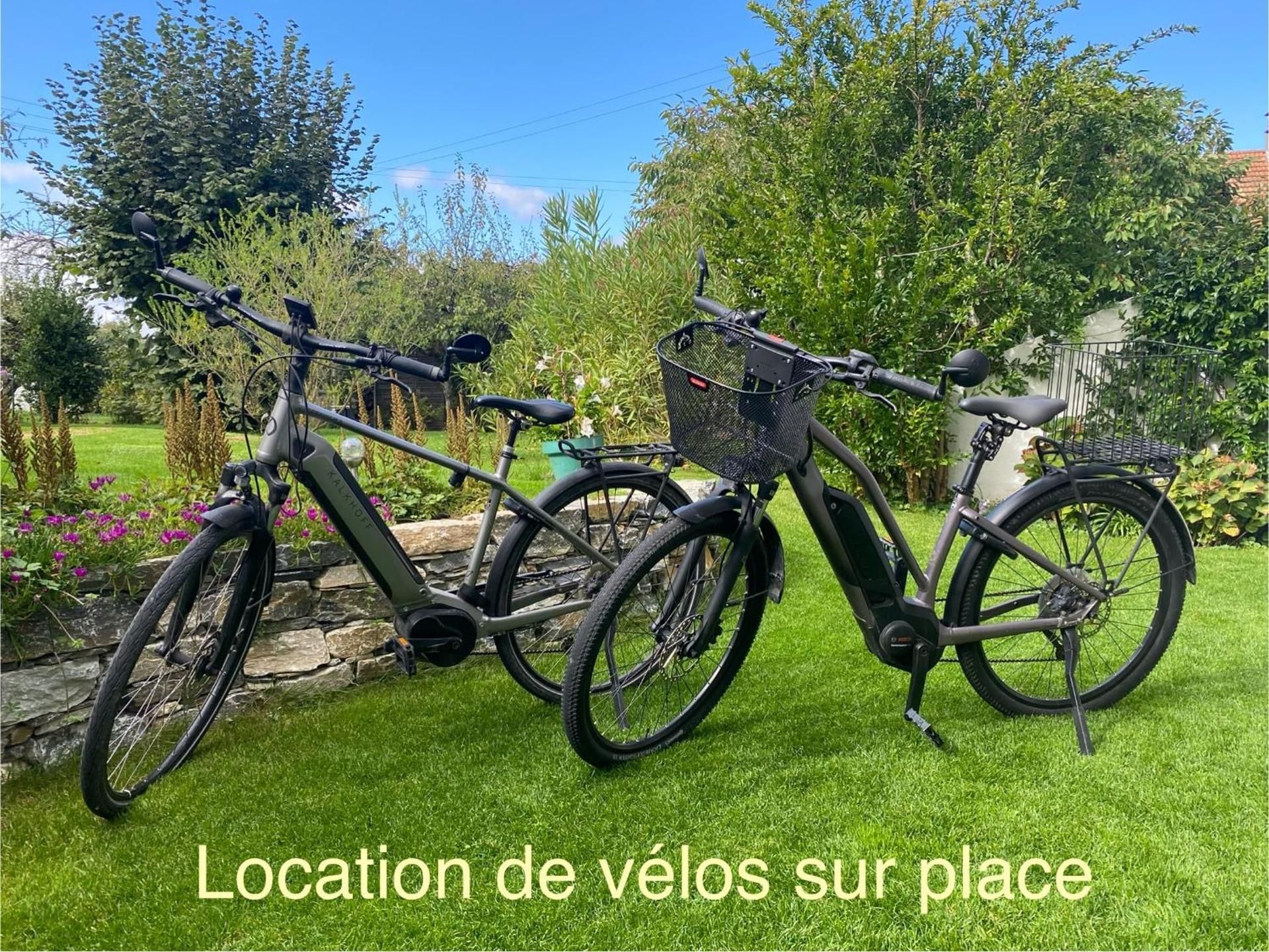 sports and activities