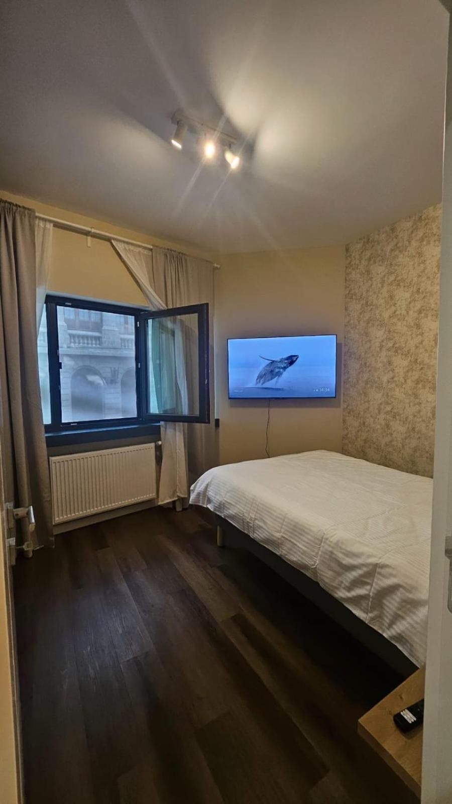 Deluxe One-Bedroom Apartment