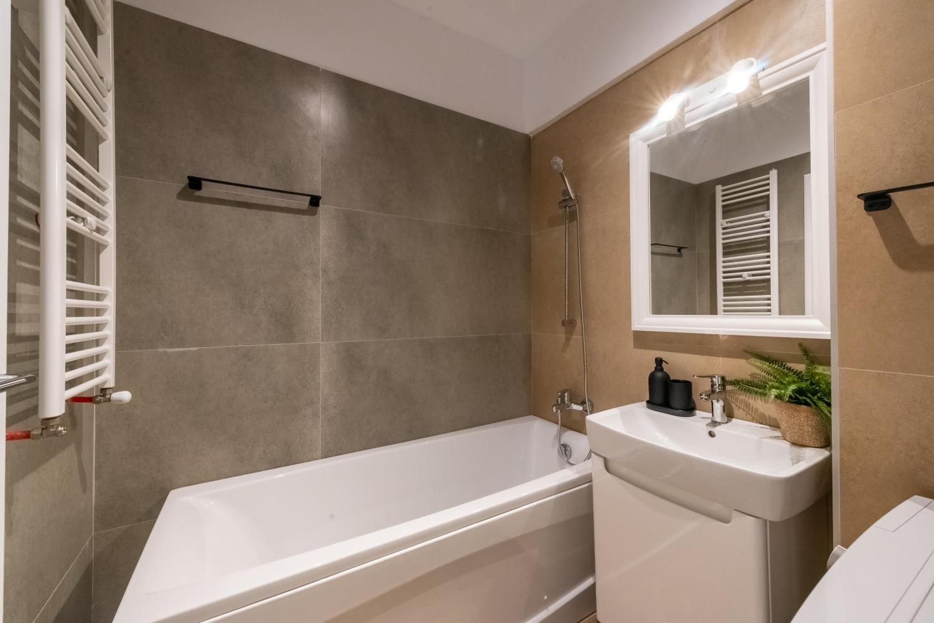 One-Bedroom Deluxe Apartment