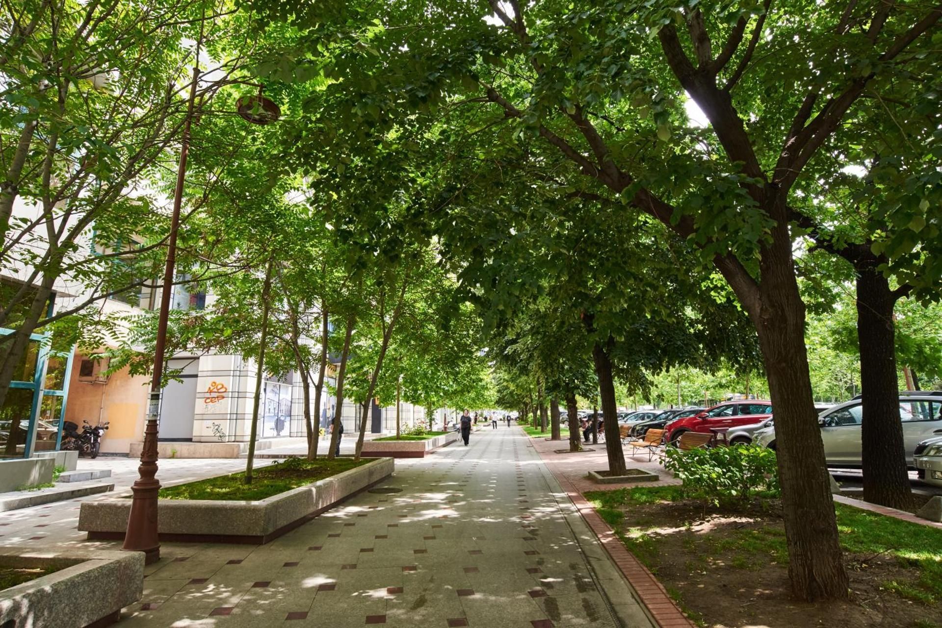 surrounding environment