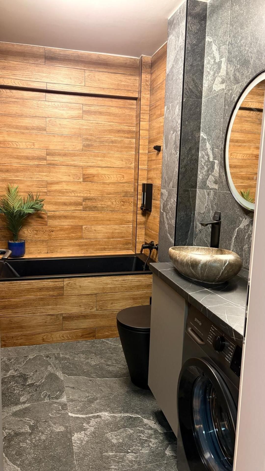 Deluxe One-Bedroom Apartment