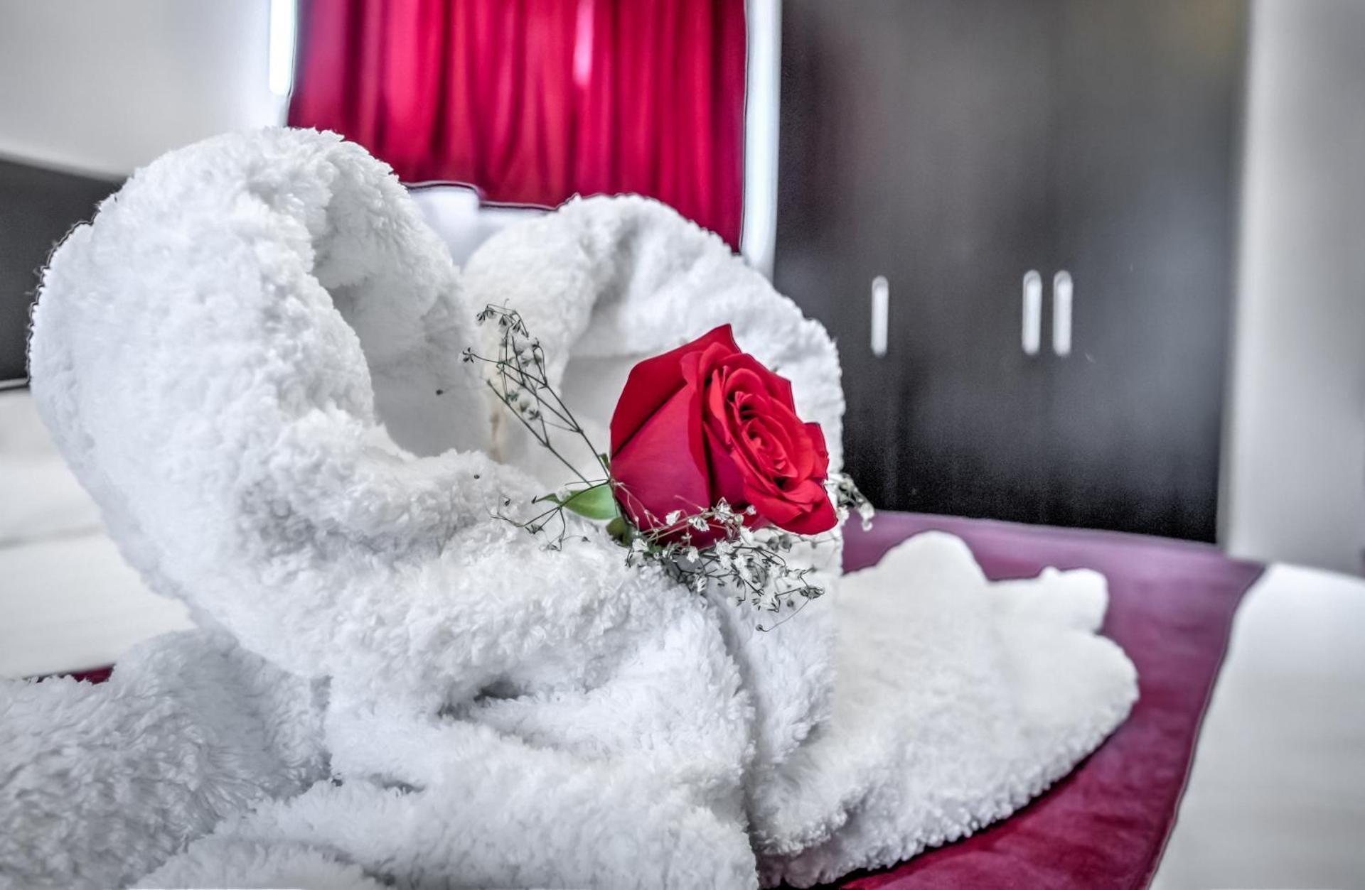 Hotel Elisabeta Twin Room