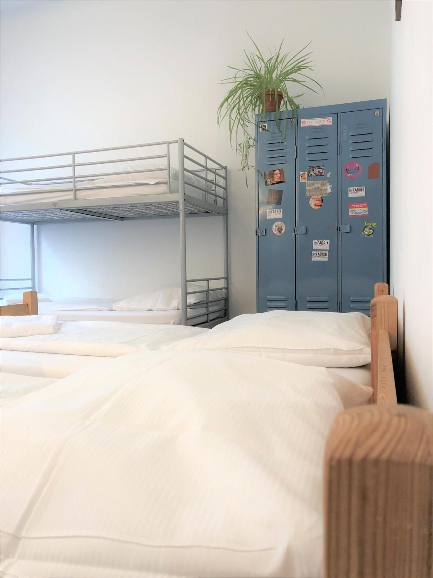 Bed in 4-Bed Female Dormitory Room