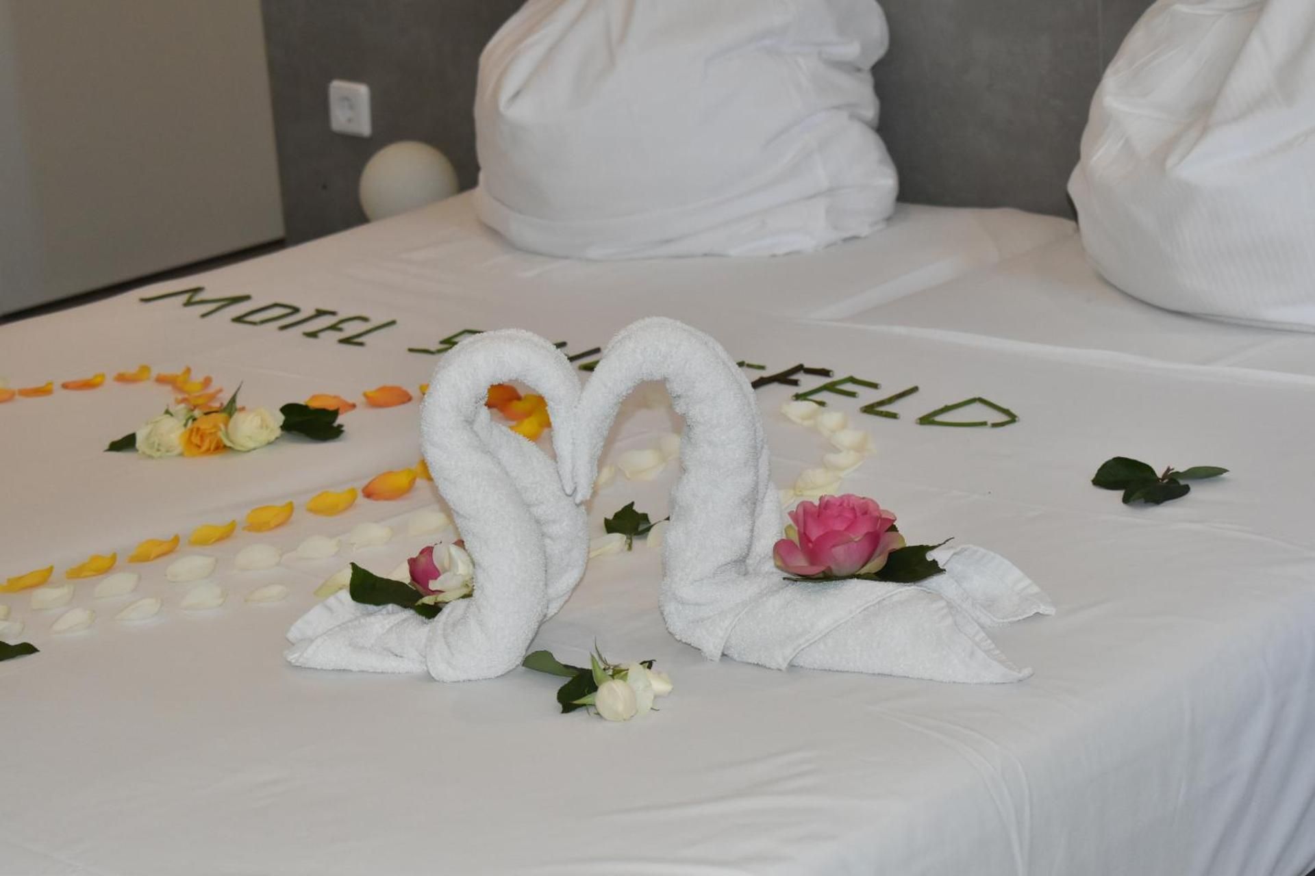 Large Double or Twin Room