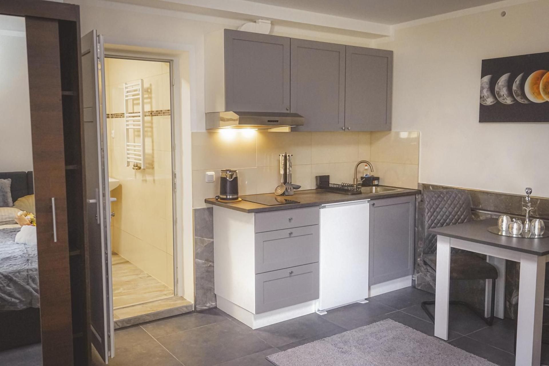 Deluxe One-Bedroom Apartment