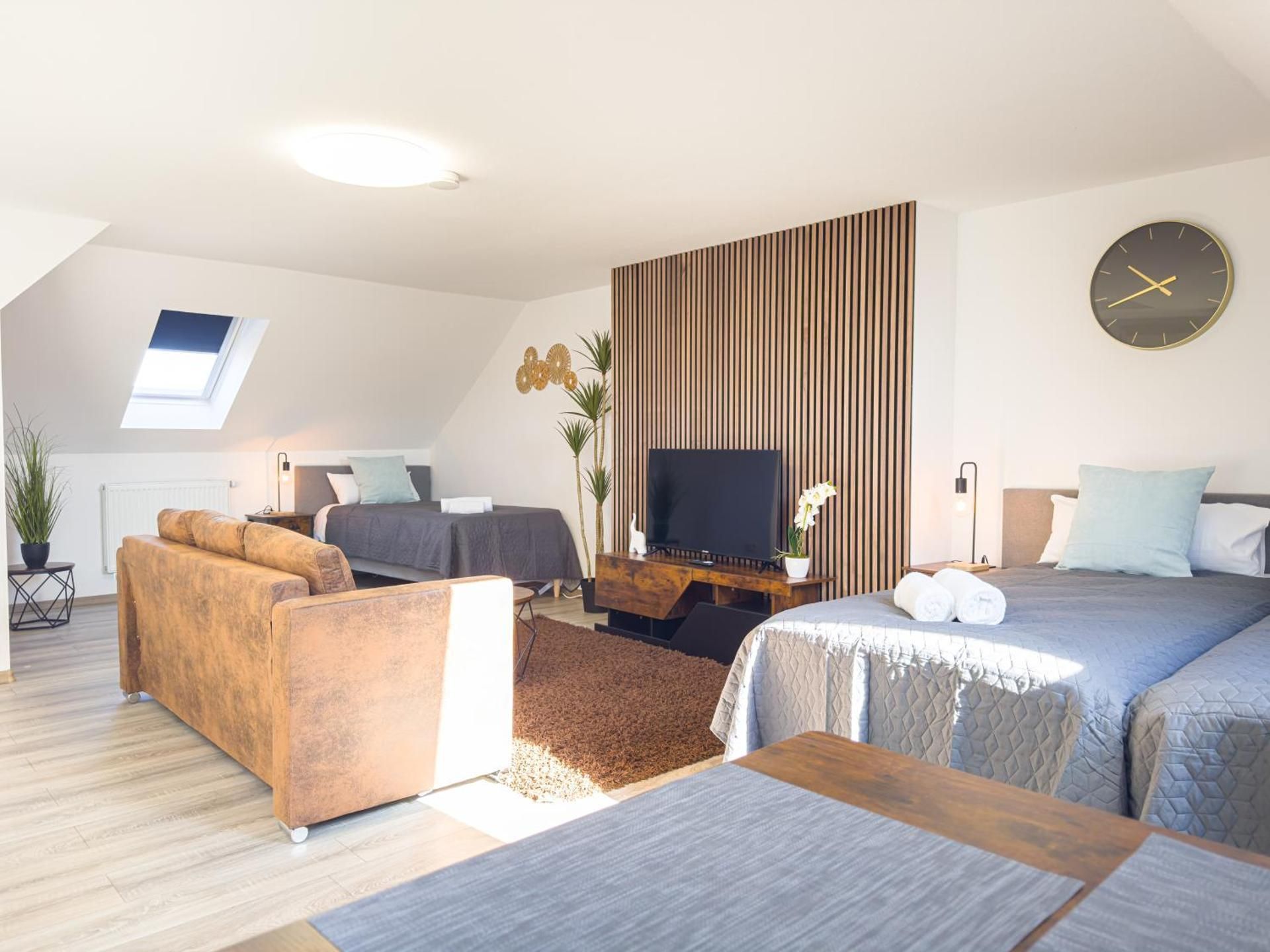 One-Bedroom Apartment with City View