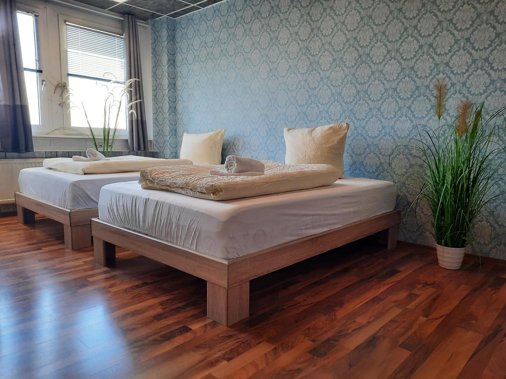 Basic Triple Room
