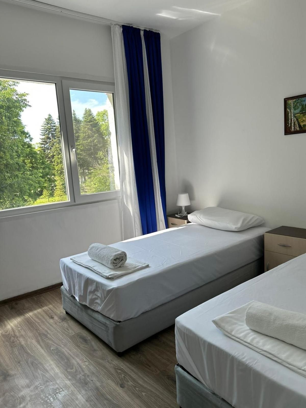 Deluxe Double or Twin Room with Balcony