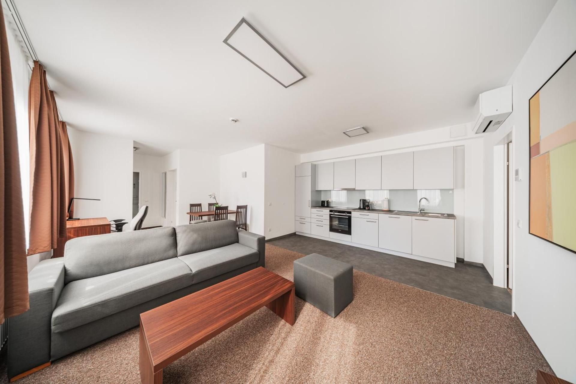 One-Bedroom Apartment with Terrace