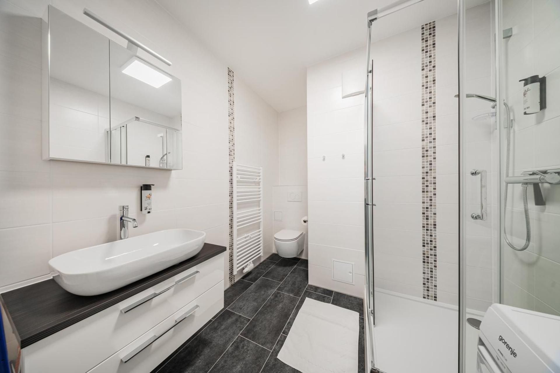 Deluxe One-Bedroom Apartment with City View