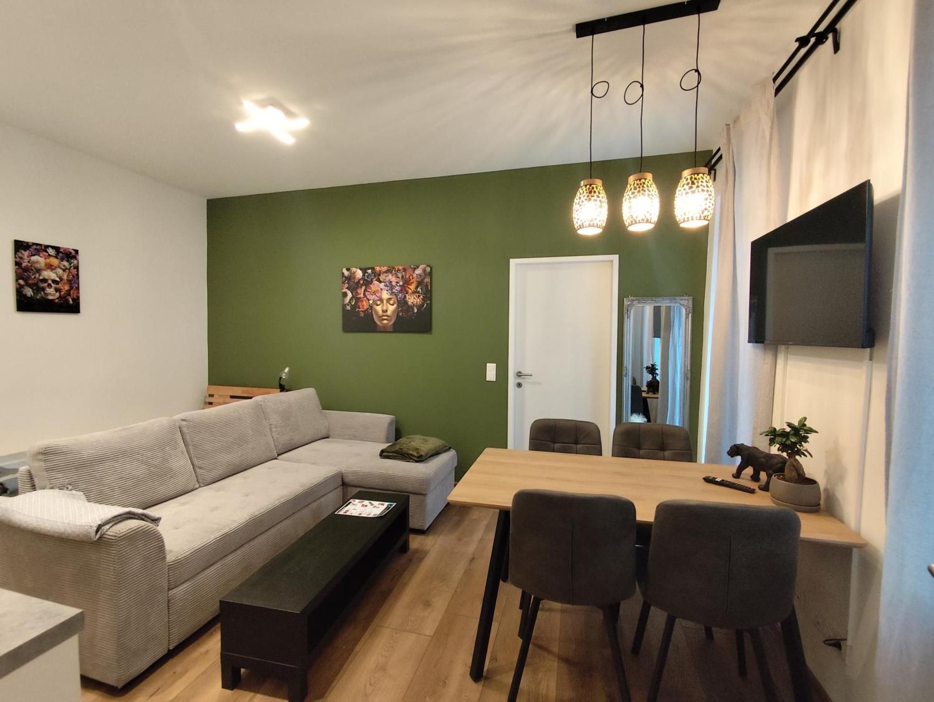 Deluxe One-Bedroom Apartment