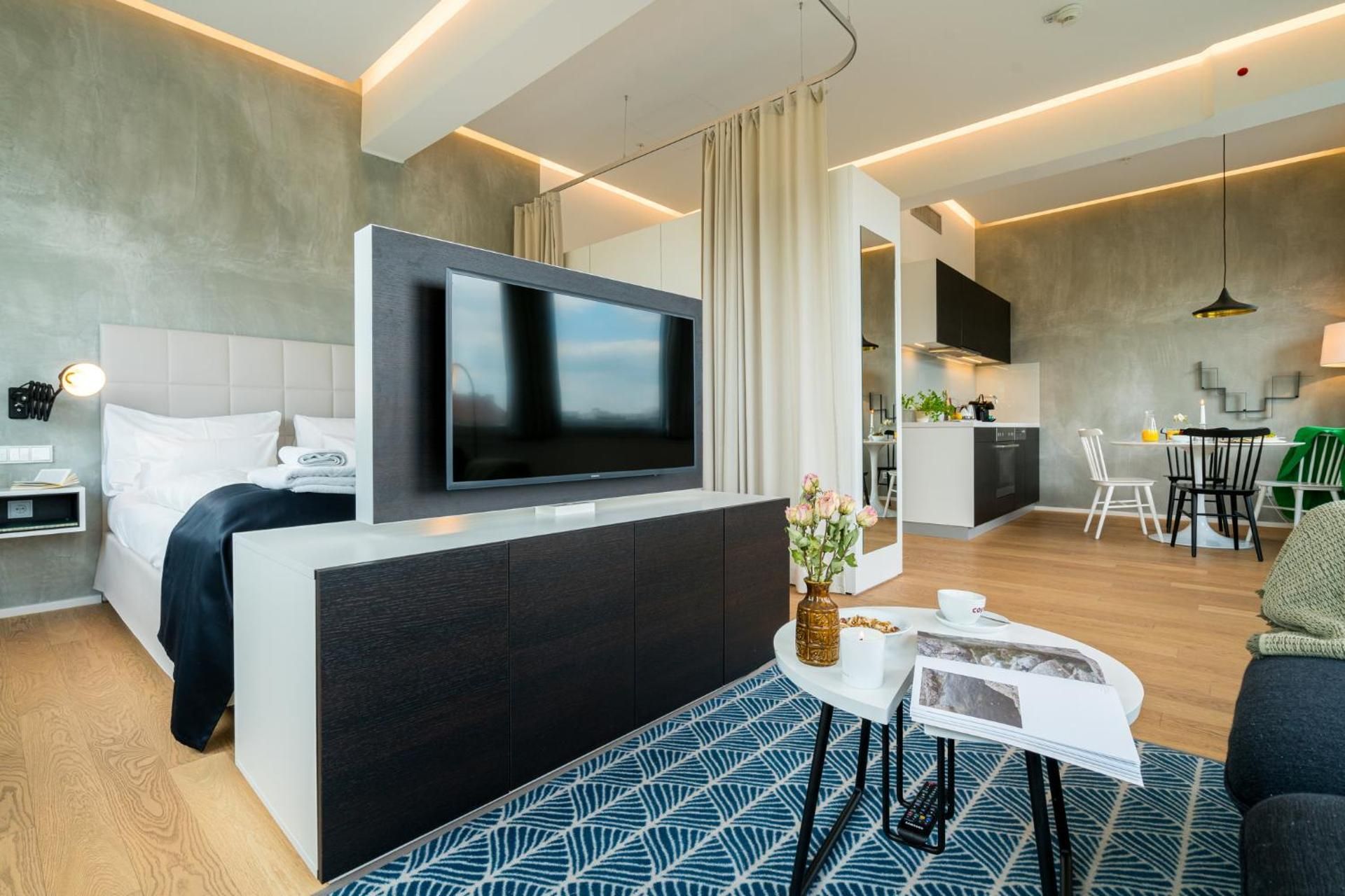 Deluxe One-Bedroom Apartment