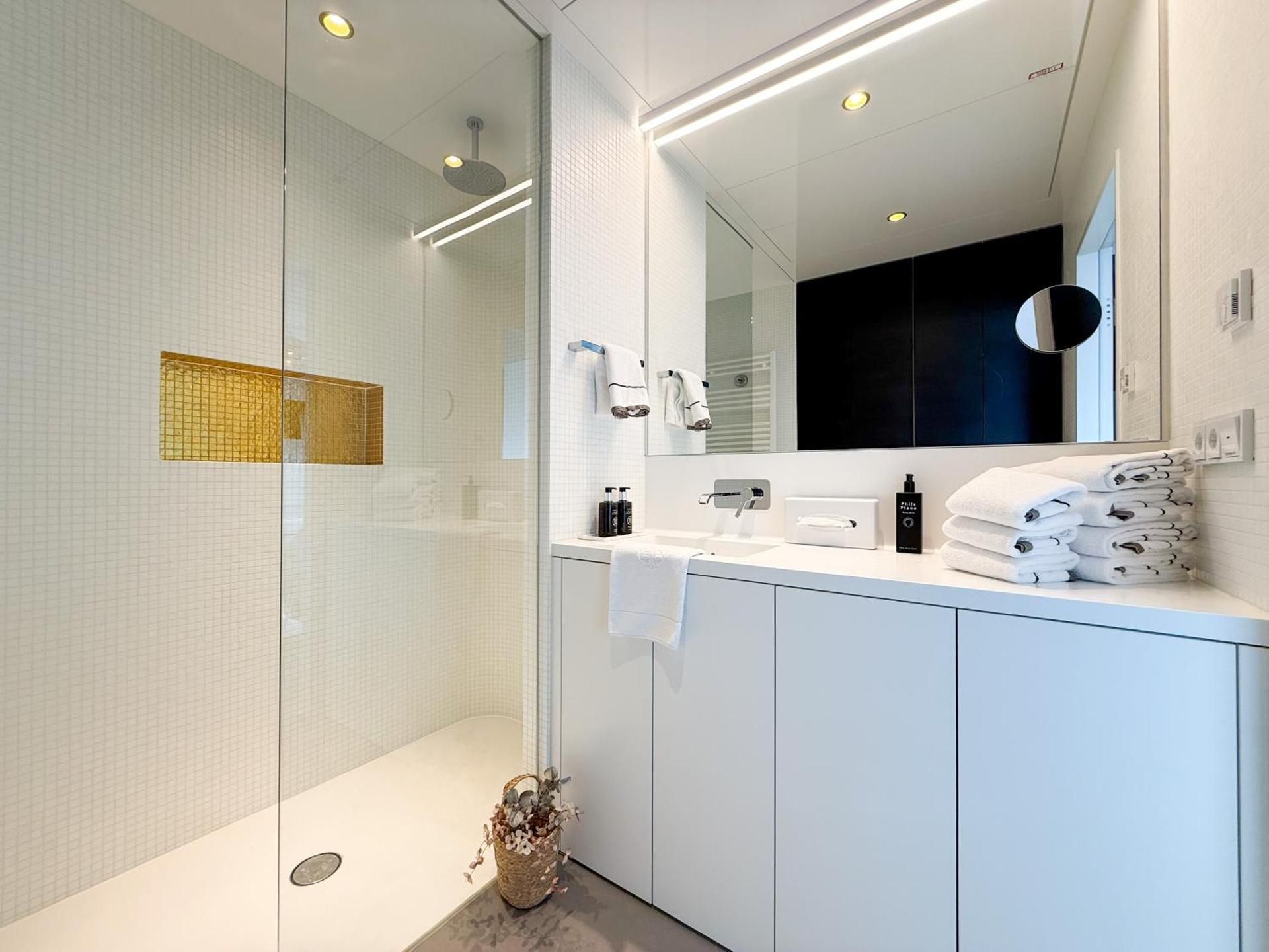 Deluxe One-Bedroom Apartment with City View