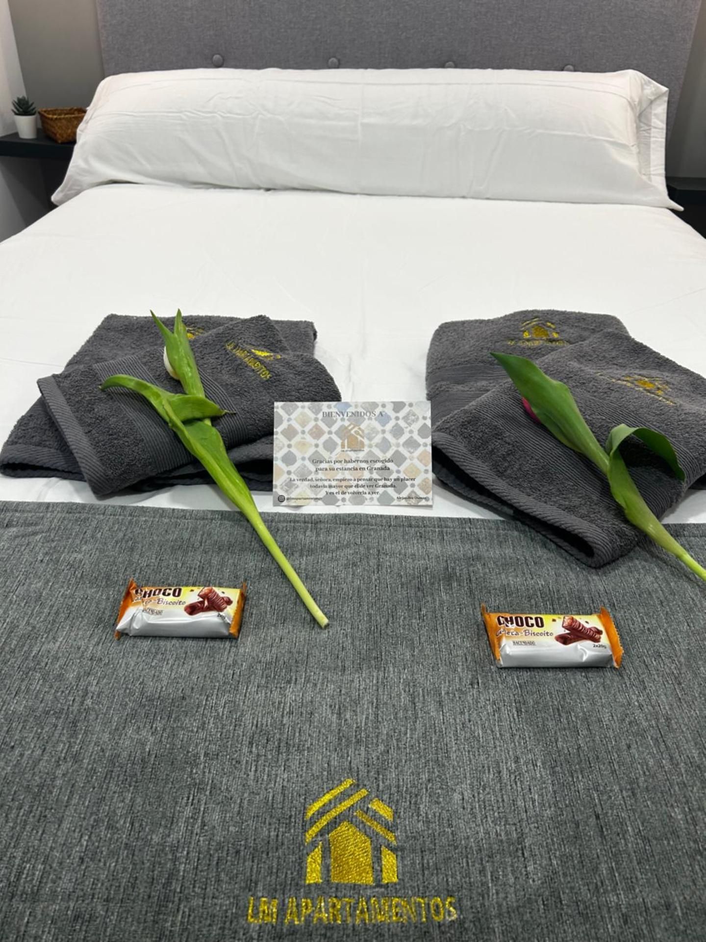 Premium Quadruple Room