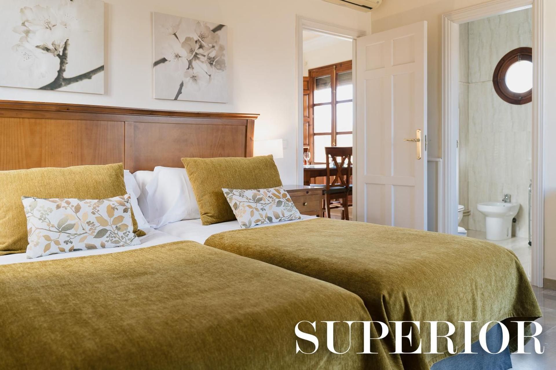 1-Bedroom Superior Apartment