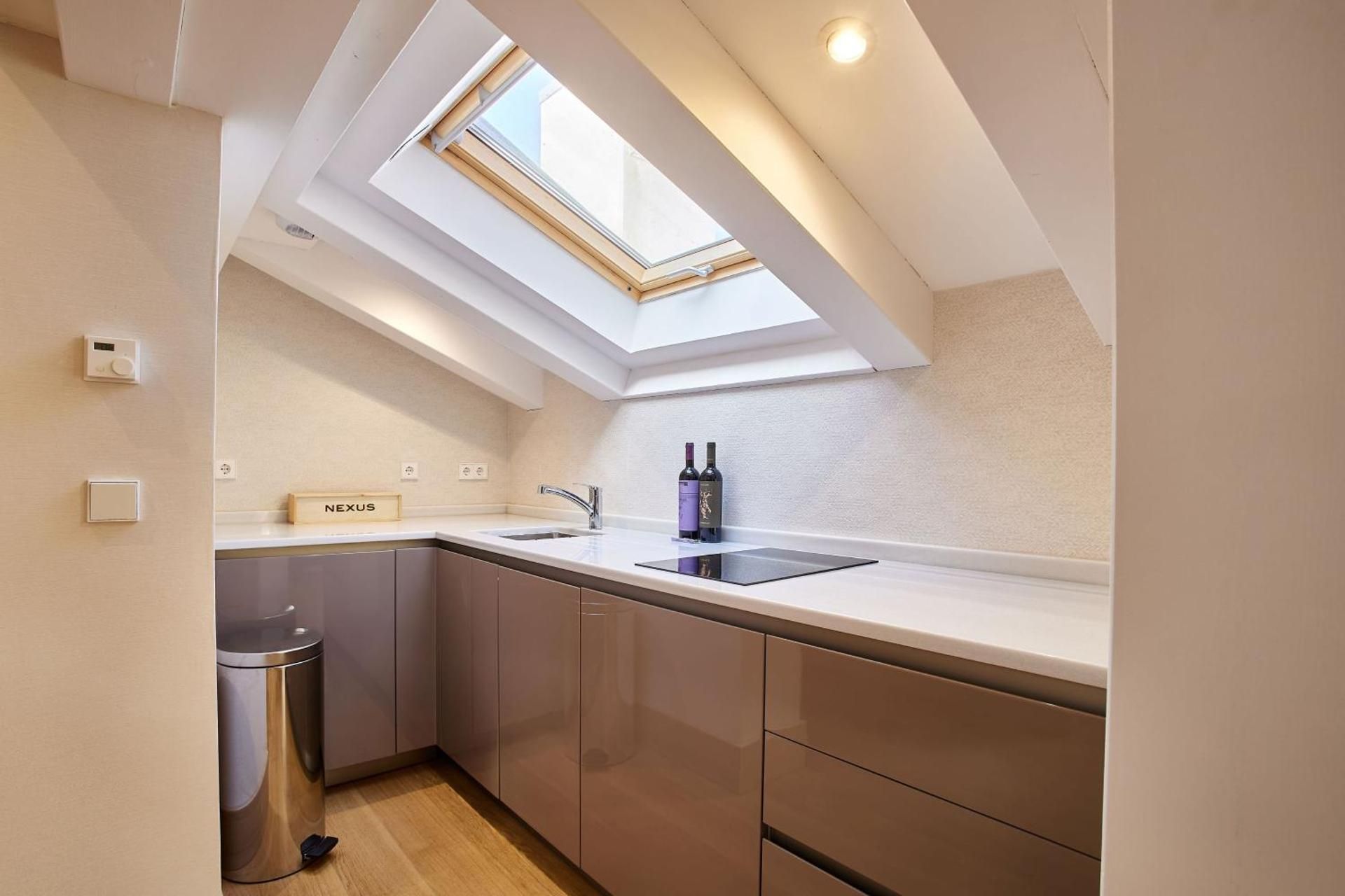 Penthouse Apartment