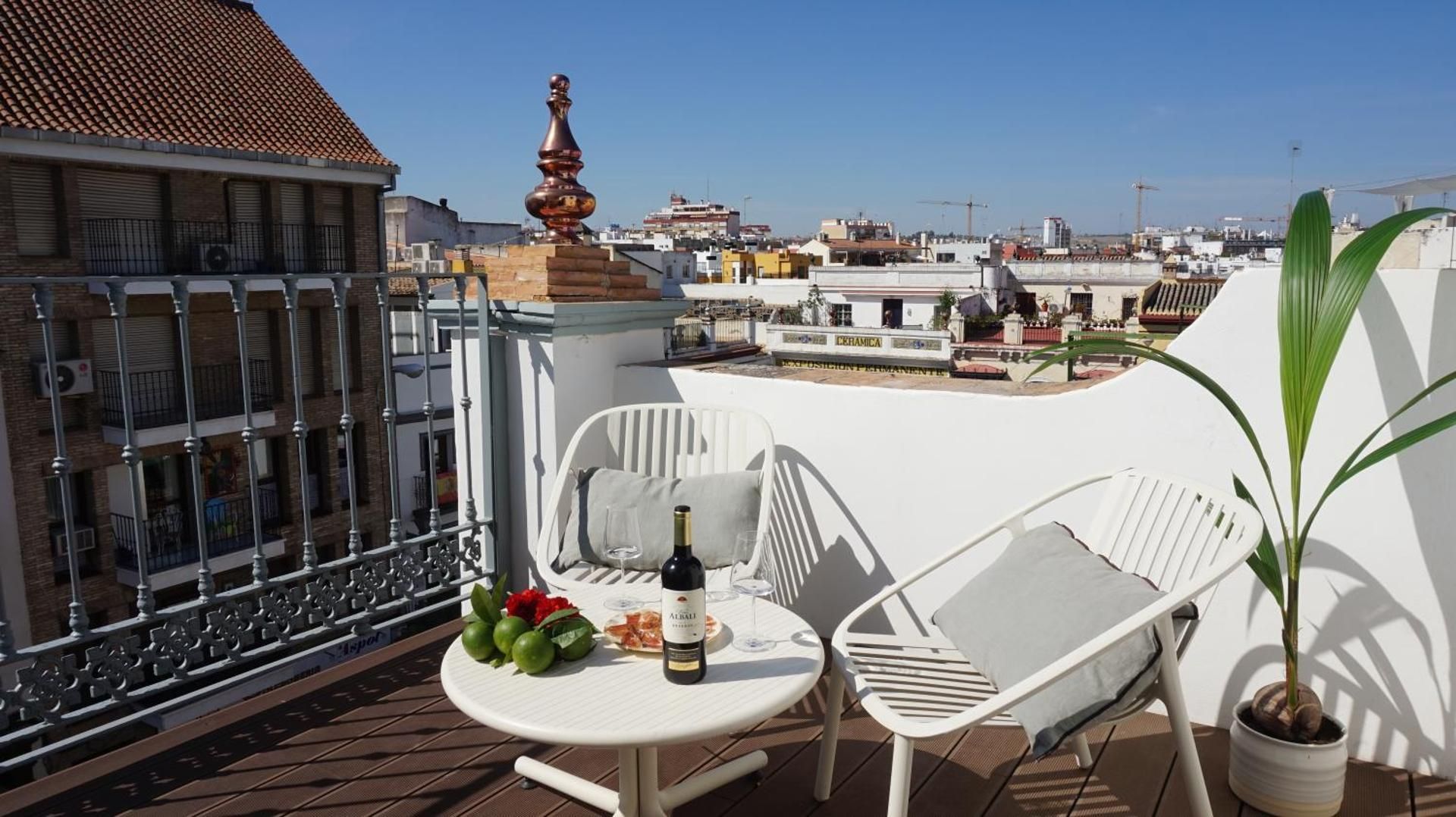 Studio with Terrace