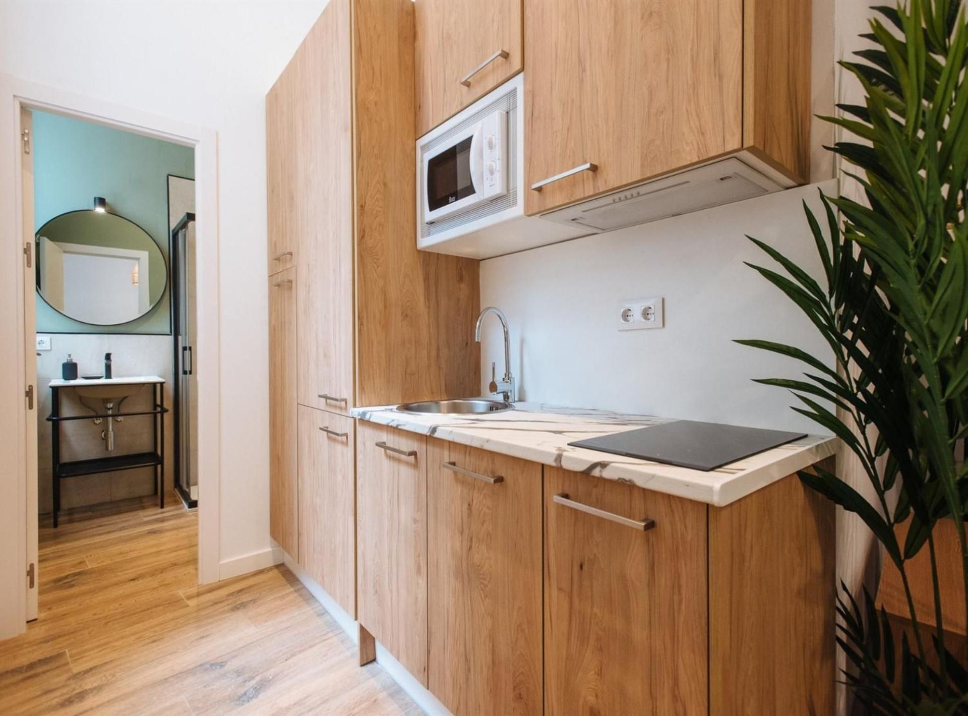 Studio Apartment
