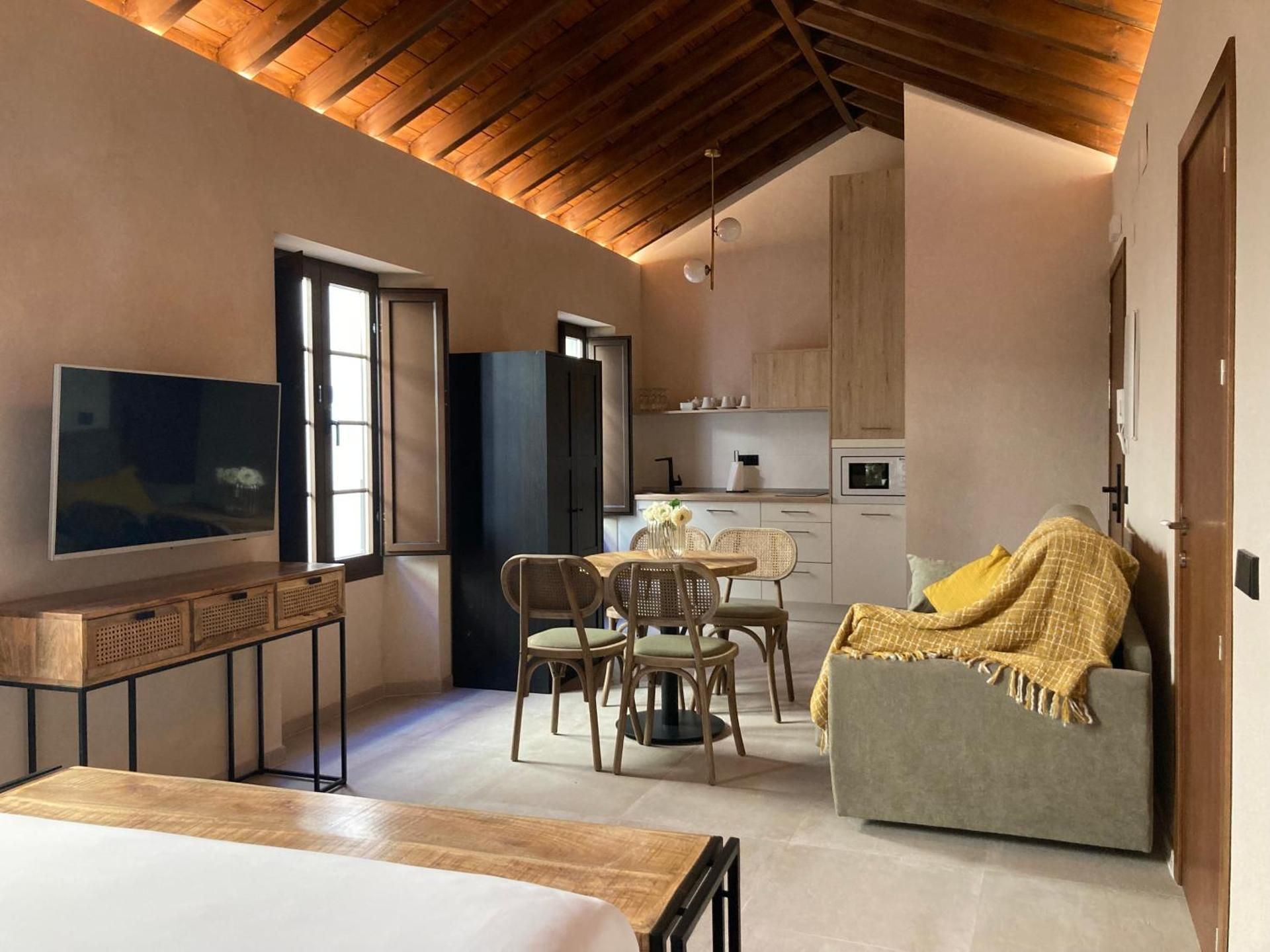 Penthouse Apartment