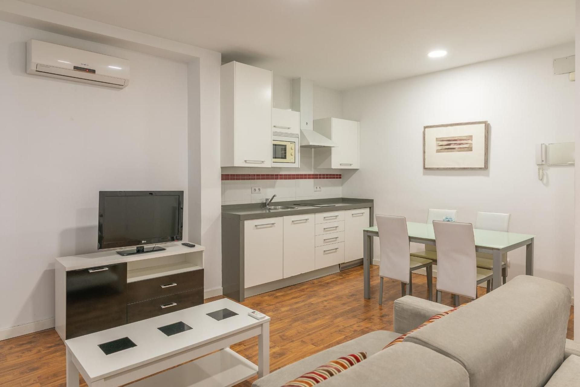 Large One-Bedroom Apartment