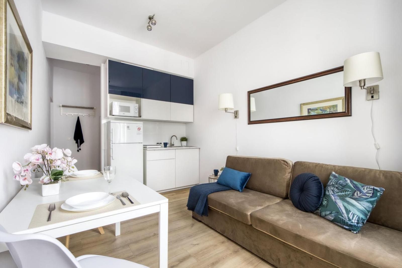Studio with Sofa Bed