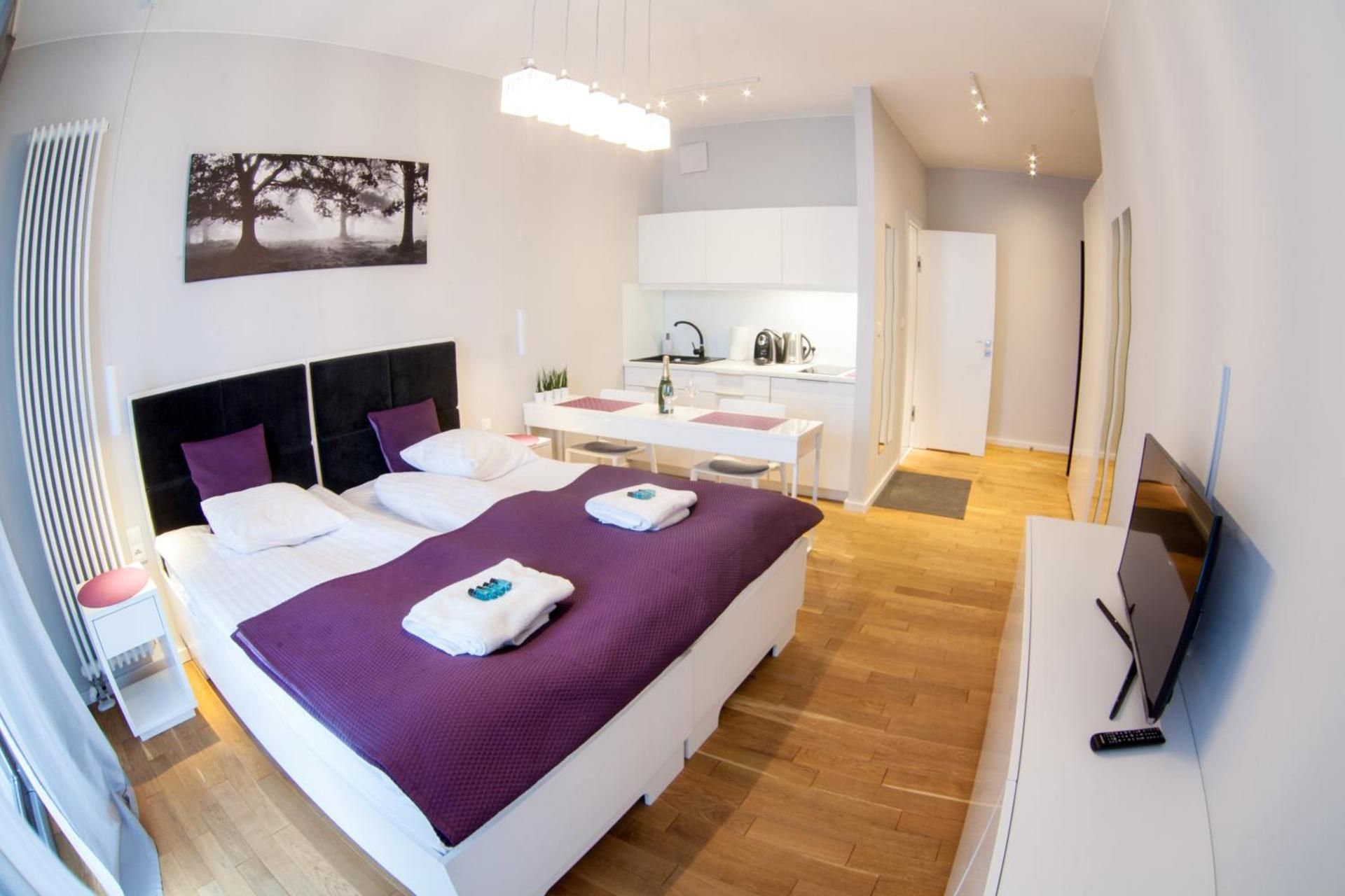 Deluxe Apartment with Terrace
