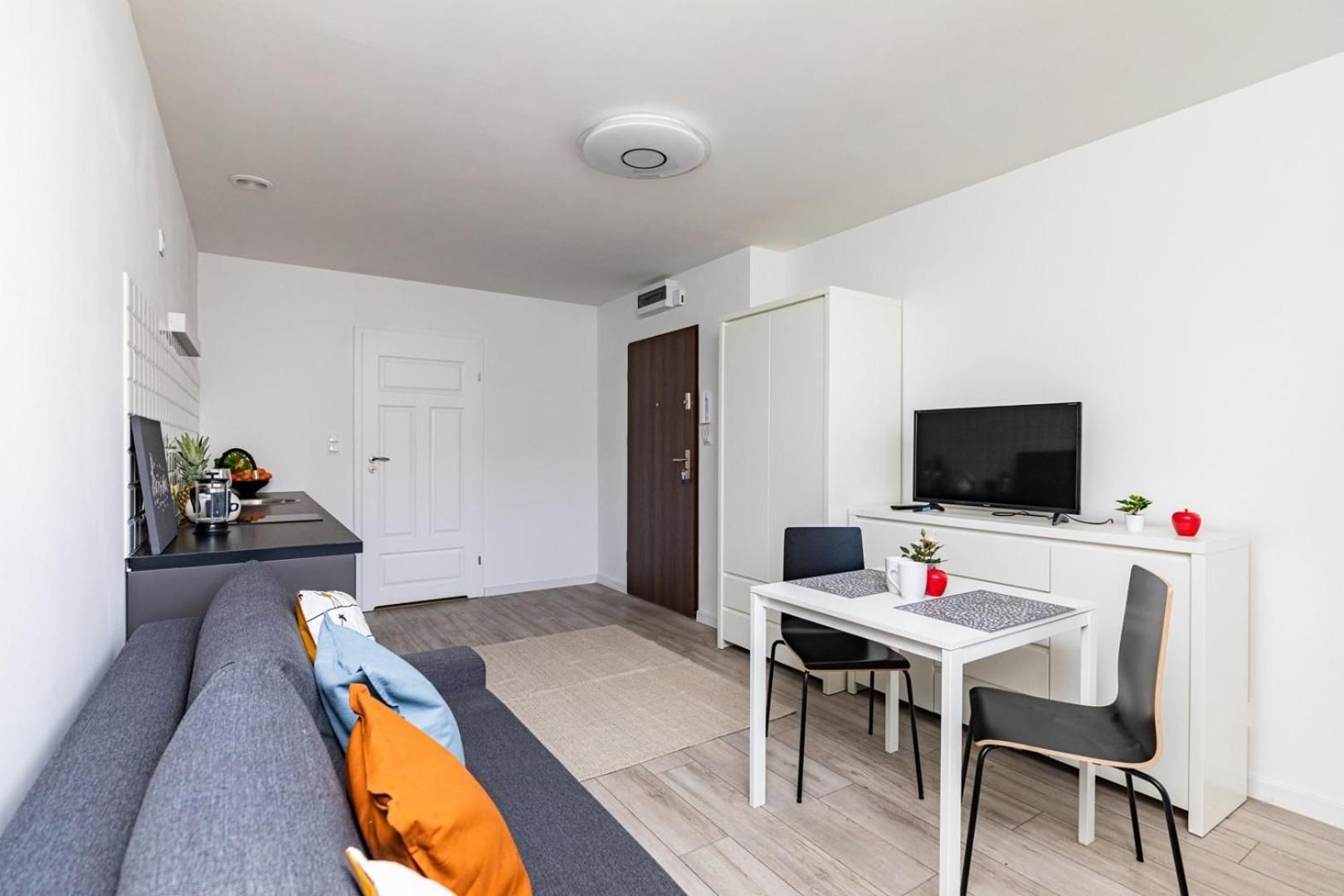 Studio with Sofa Bed