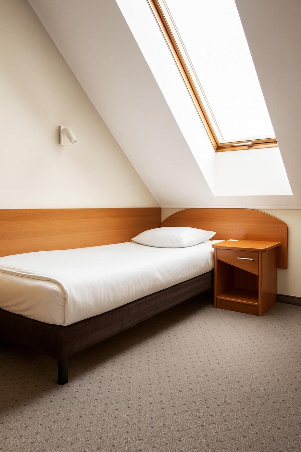Superior Single Room