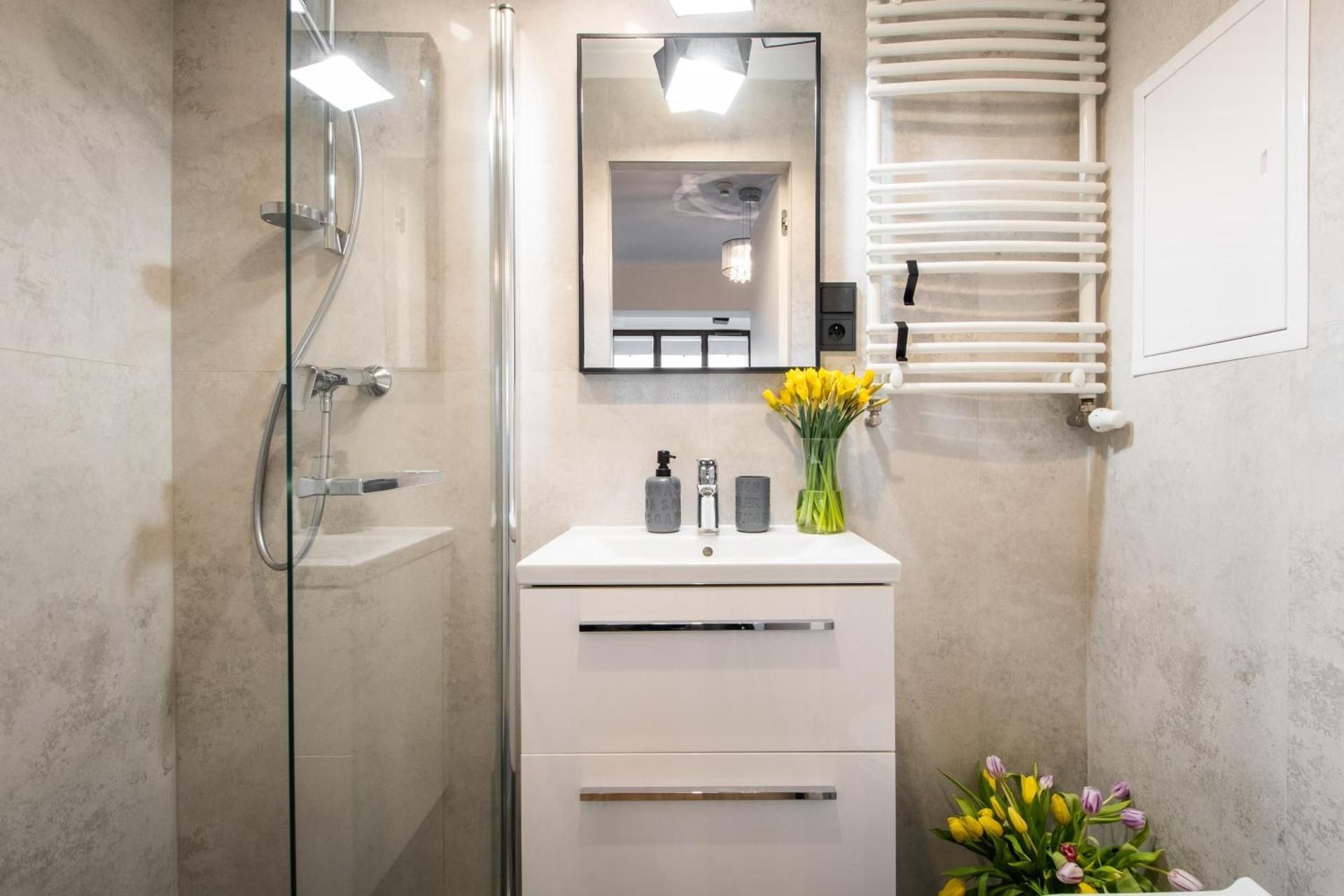 Apartment with Shower