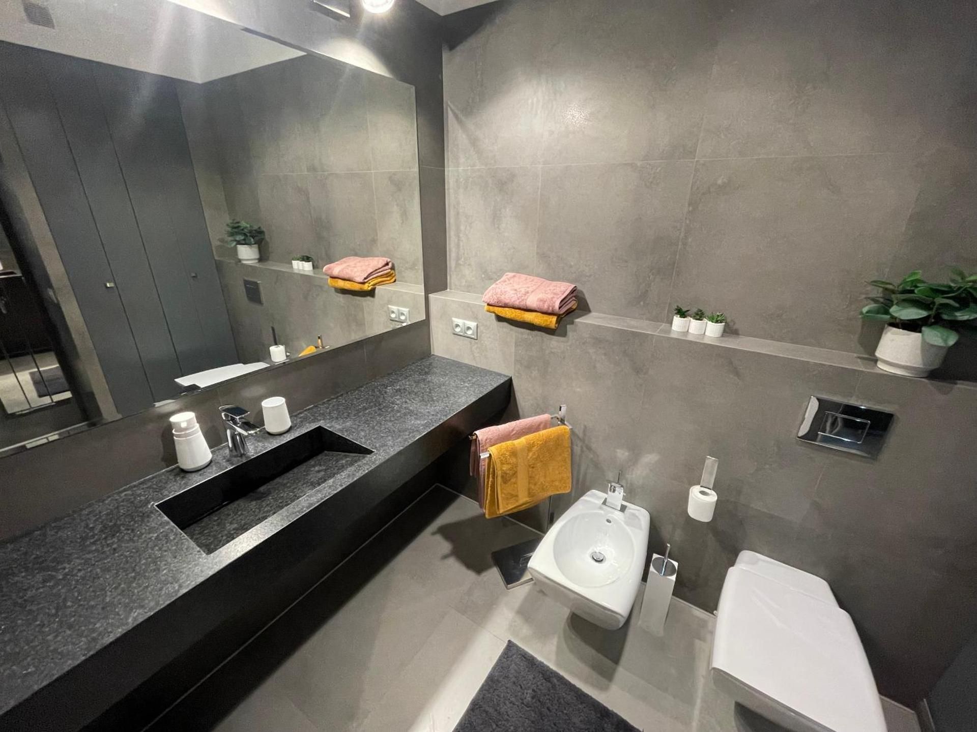 Deluxe One-Bedroom Apartment