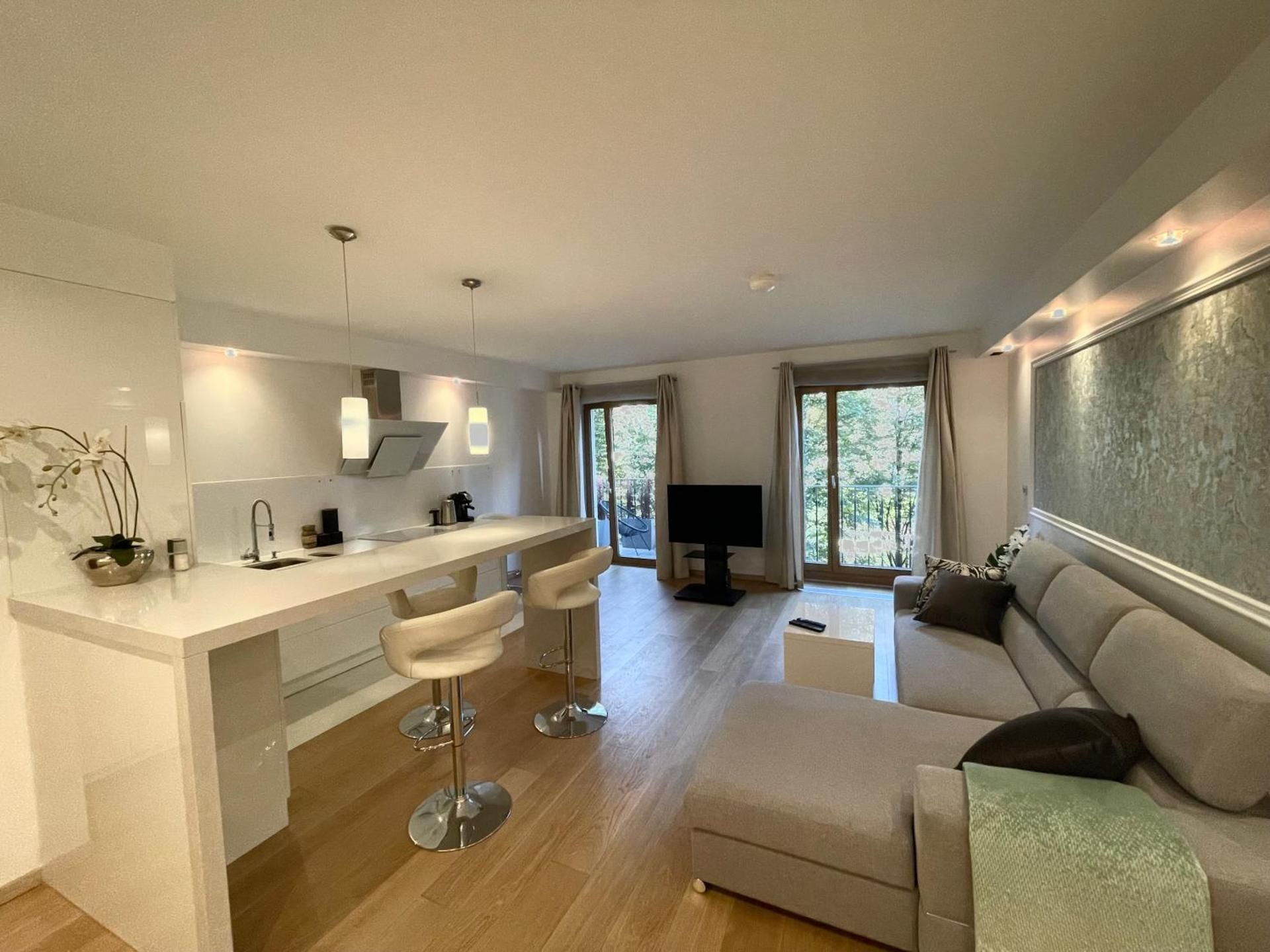 Deluxe One-Bedroom Apartment