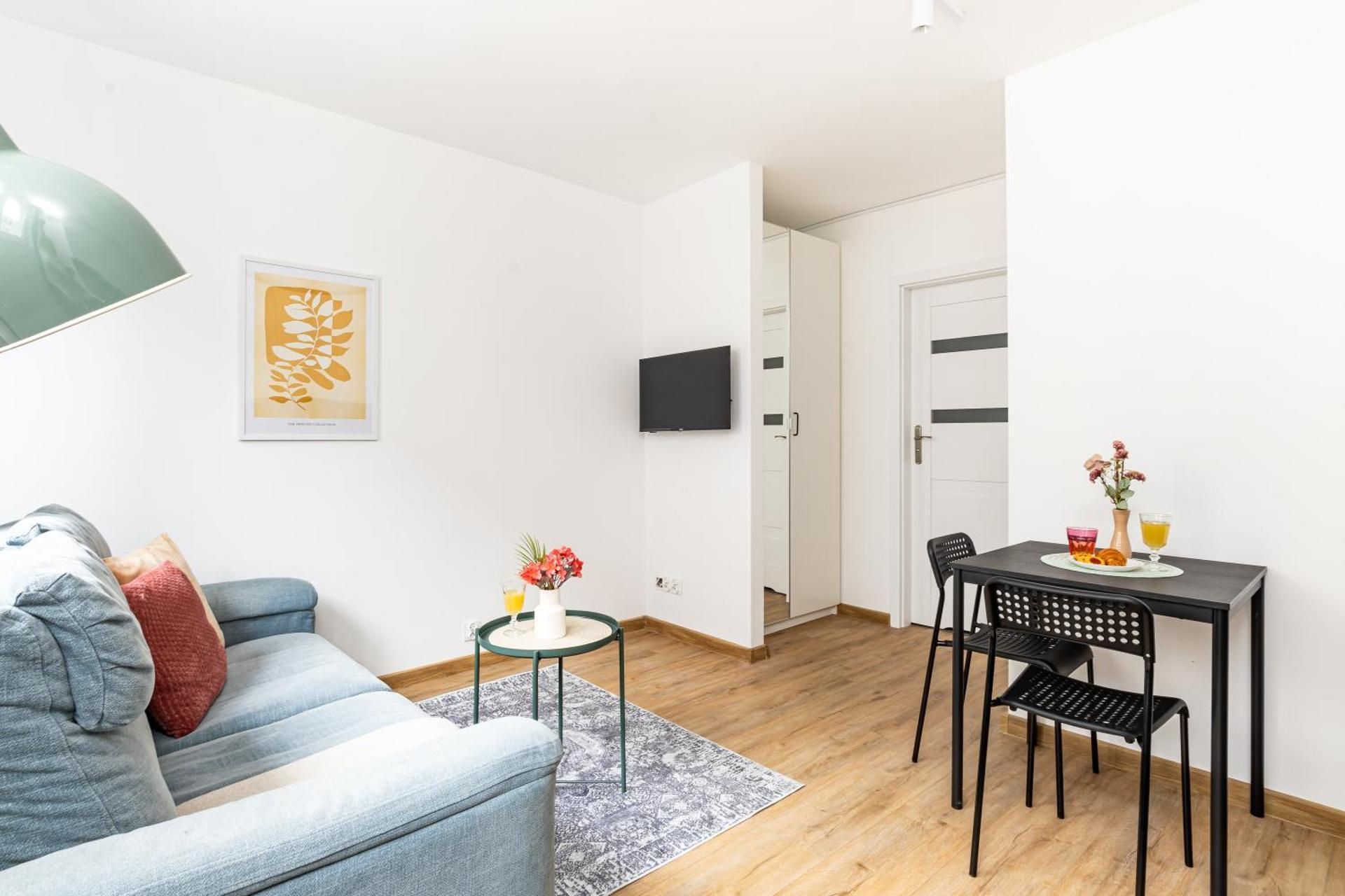 Studio with sofa bed