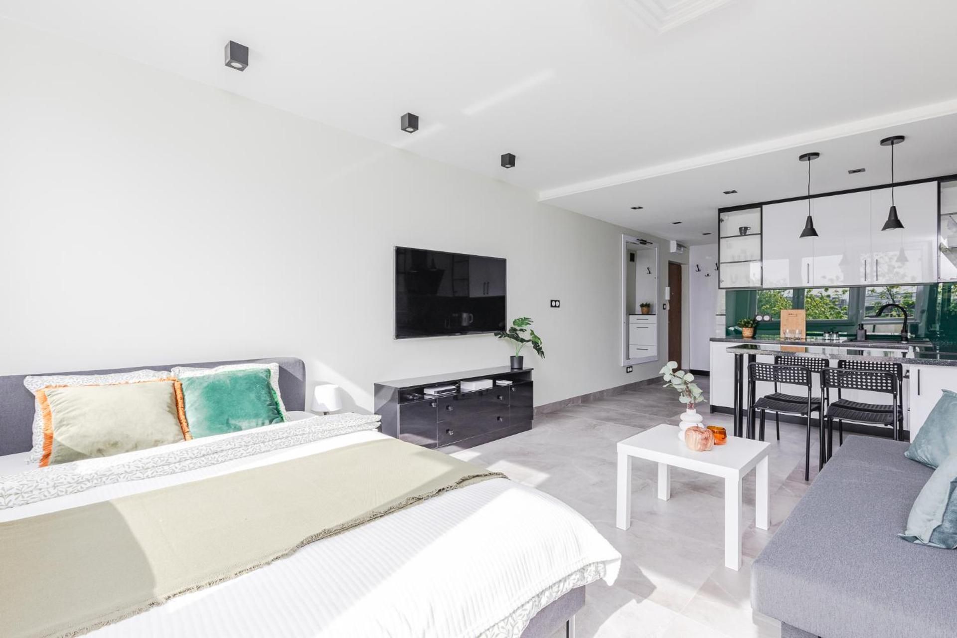 Studio with Sofa Bed