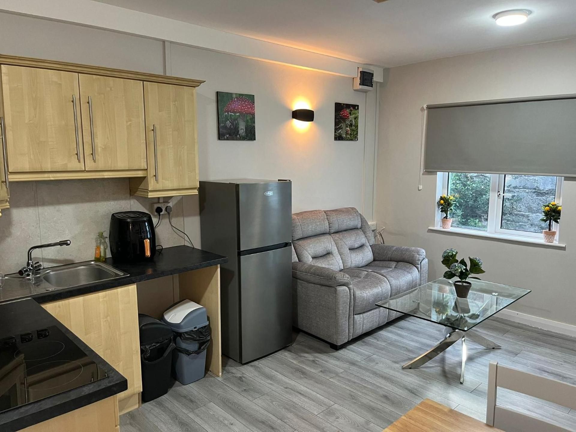 One-Bedroom Premium Apartment
